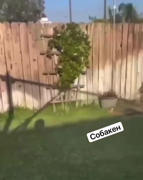 Подпишись 👉 https://vk.com/ykrasheniy_iz_kamny