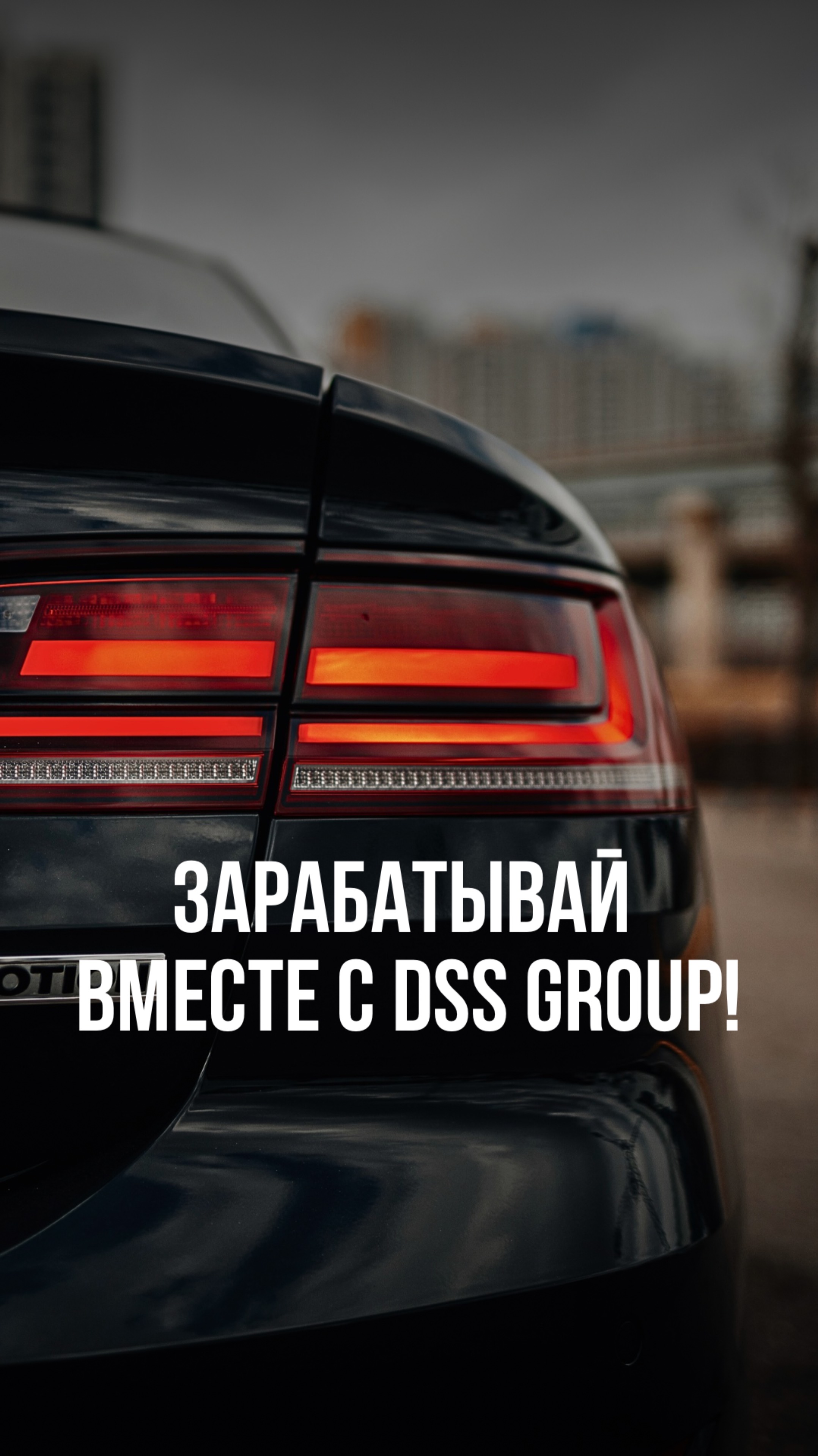 Зарабатывай с Dss Group