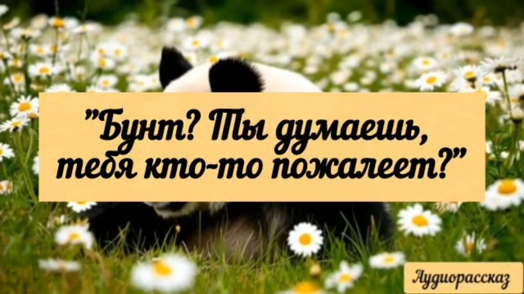 Маменька не ожидала, что все советы, как воспитывать жену, сын на ней же отрабатывать будет.