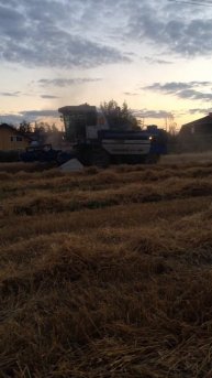 Техника Совхоза им. Ленина.