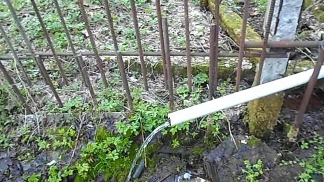 Родник у бывшего пионерского лагеря "Искра"