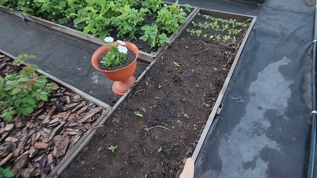 ПОРАЖАЕТ людская НАГЛОСТЬ😲УСТРОЮ им ТЕМНУЮ👍КТО меня ПОДДЕРЖИТ😏