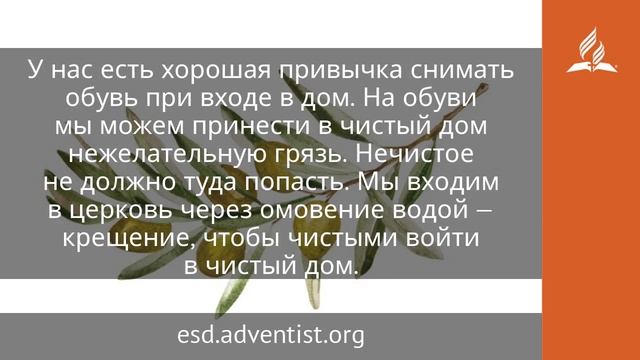 6 июня 2025. Господни люди. Под сенью благодати | Адвентисты