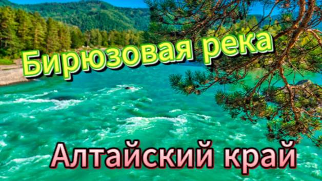 Бирюзовая река Катунь! Алтайский край!