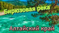 Бирюзовая река Катунь! Алтайский край!