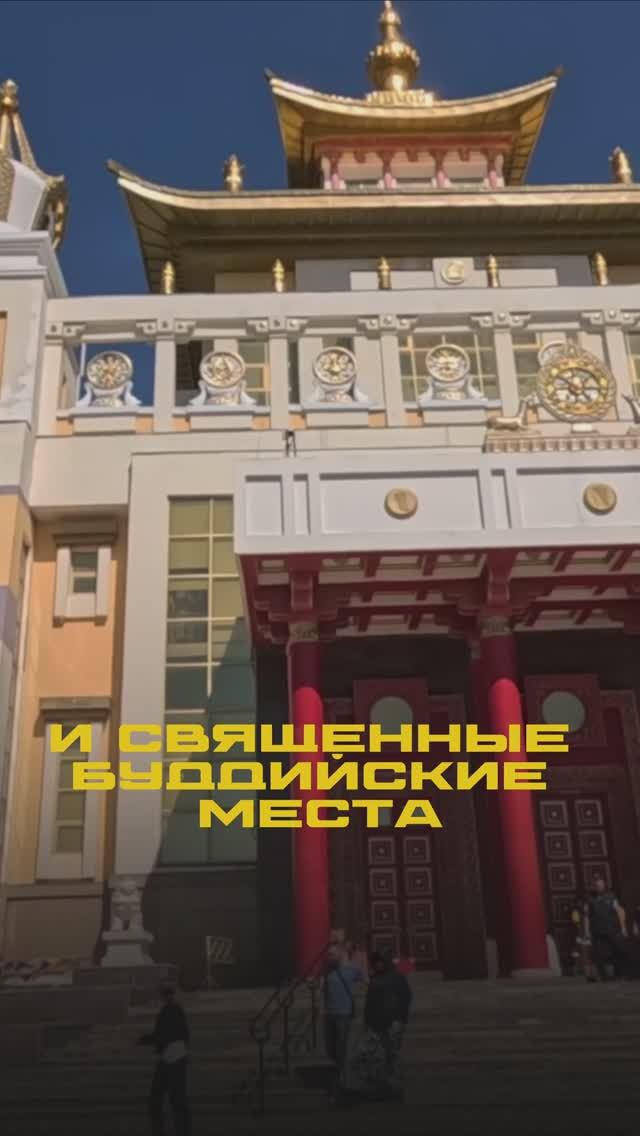 3 причины посетить Калмыкию