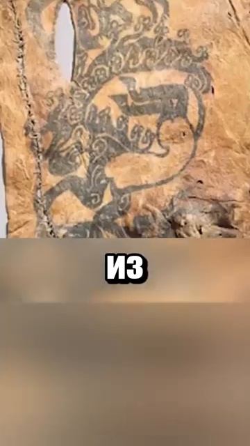 i11ushenka (1666)