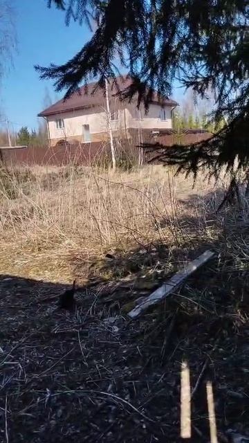 д. Митькино