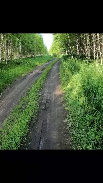 *54* на спидометре.