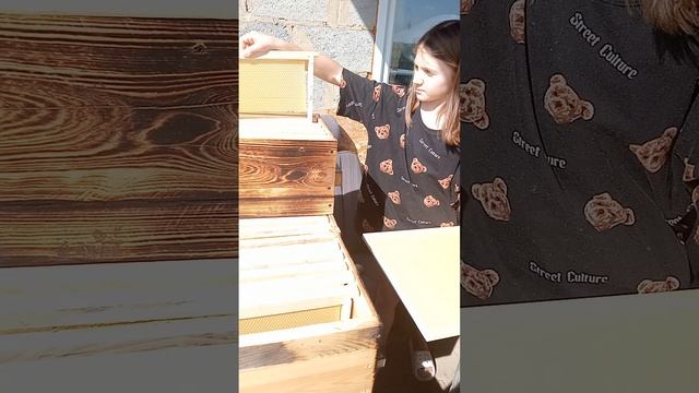 готовим рамки для будущего медосбора