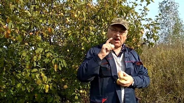 21. 09.2020. Прогулка в Суворове
