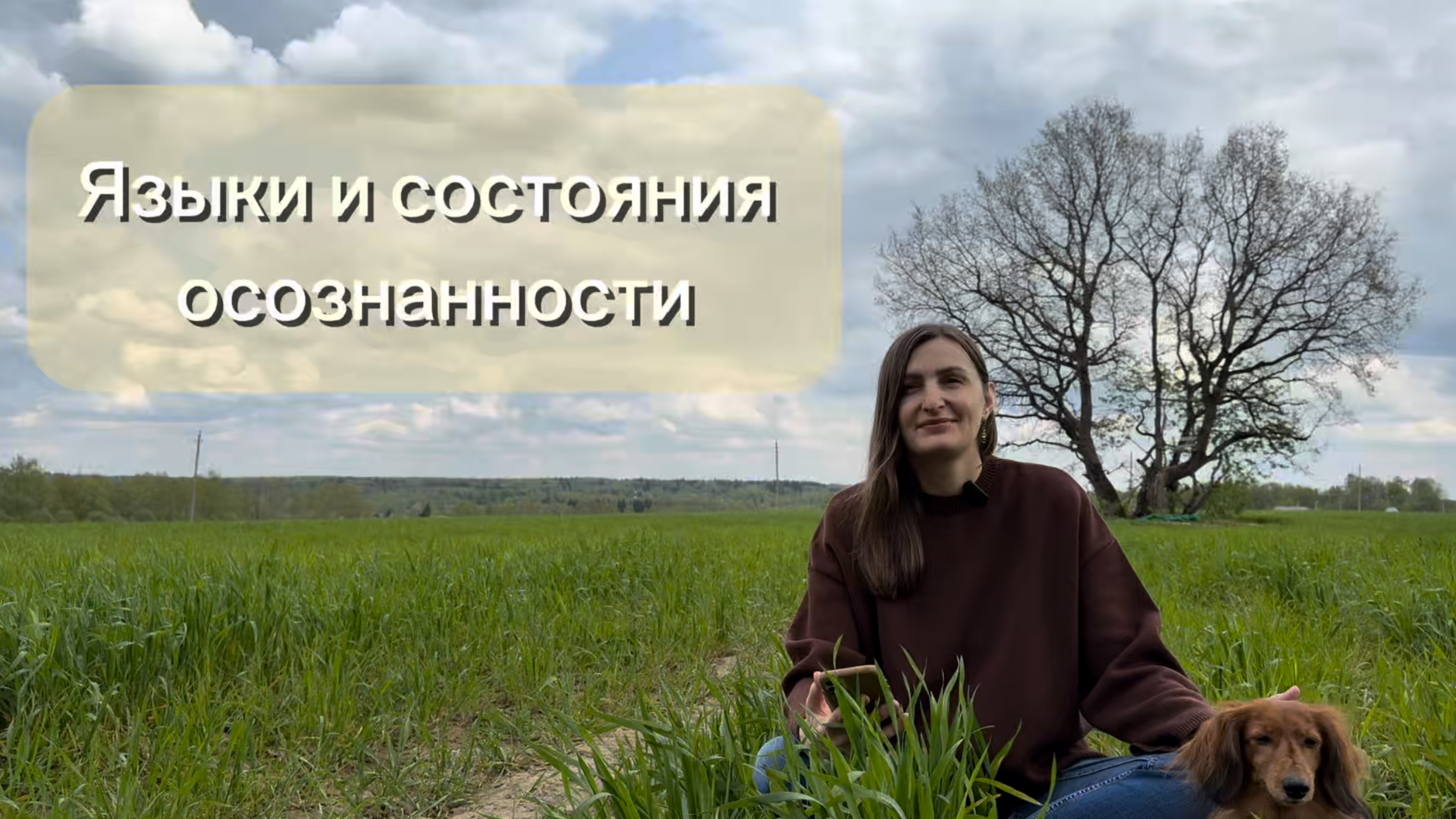 Состояния и языки осознанности