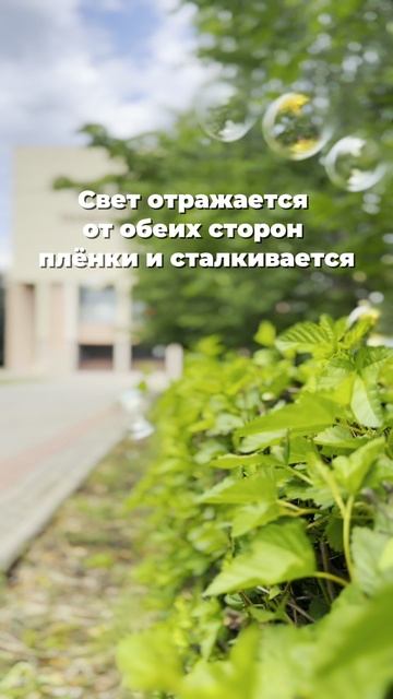 Почему мыльные пузыри переливаются цветами радуги?