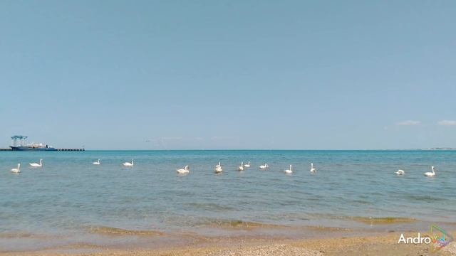 25.06.06
