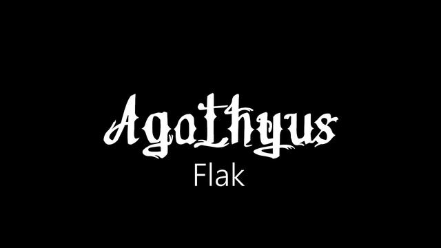 Agathyus ¦ Flak (official audio)