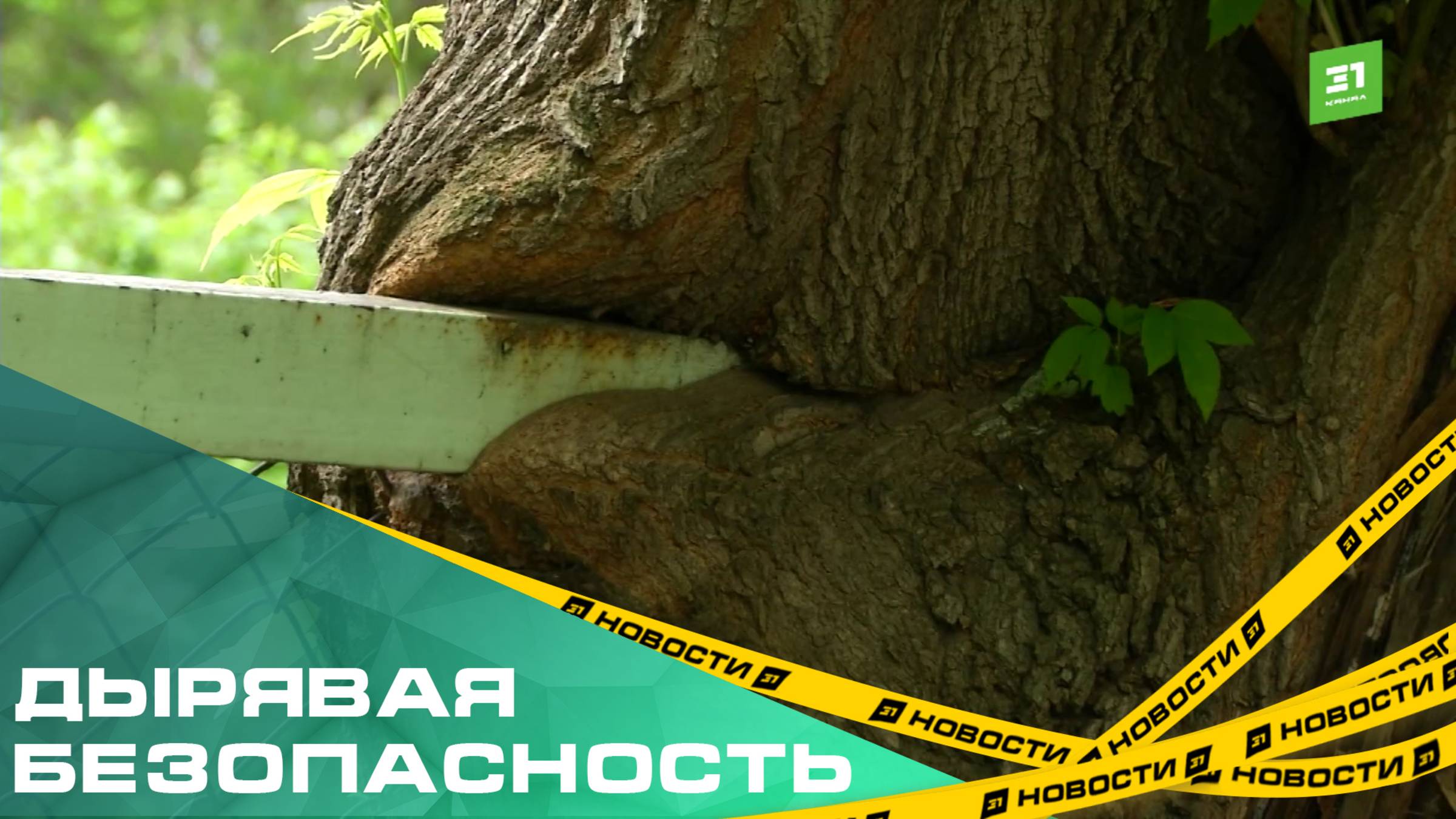 Дырявая безопасность. В детсаду Челябинска дошколят охраняет забор-франкенштейн