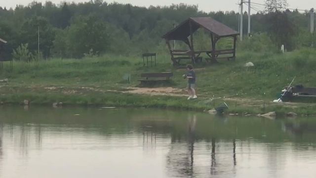 поимка африканского сома