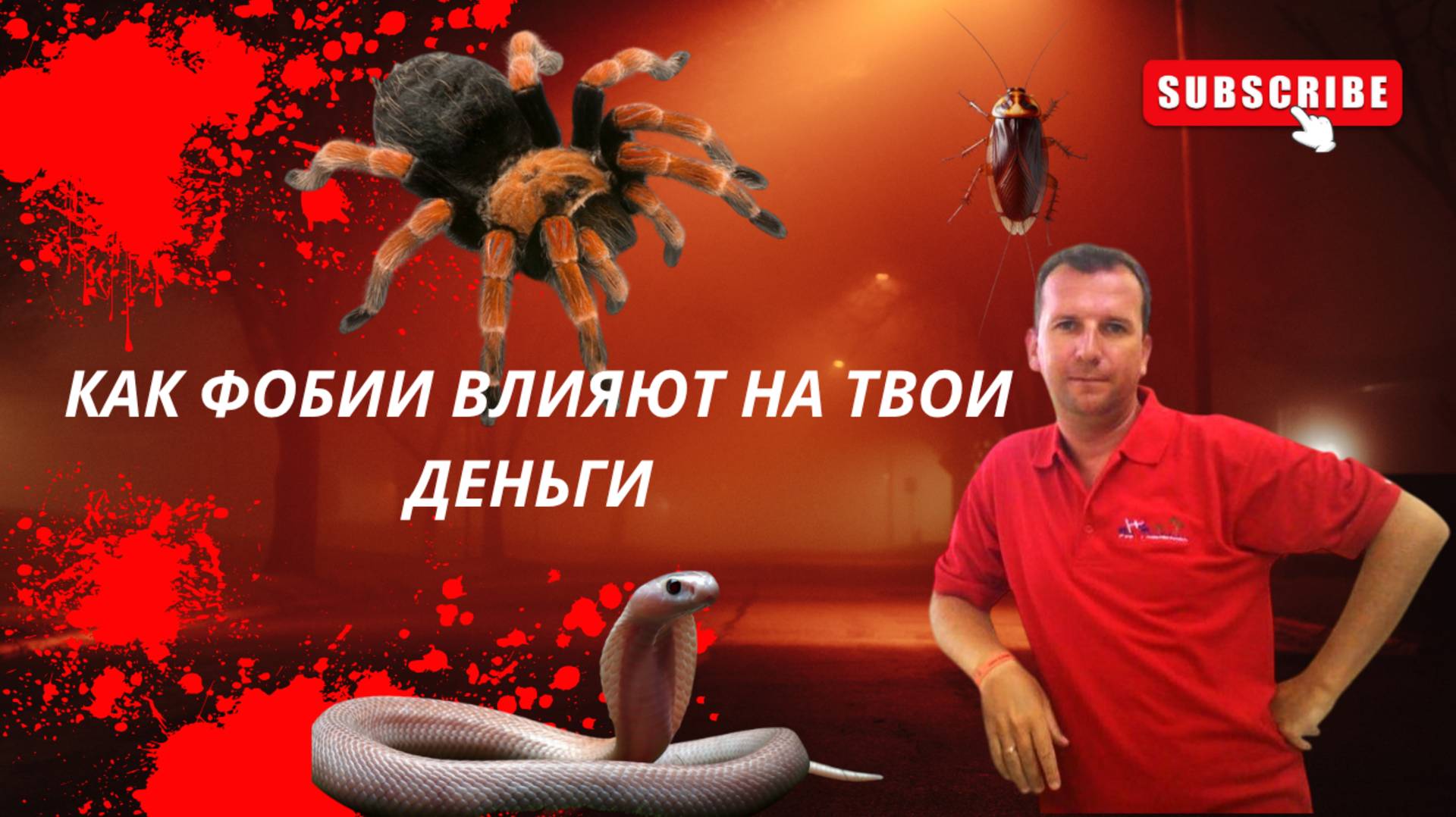 КАК ФОБИИ ВЛИЯЮТ НА ТВОИ ДЕНЬГИ.