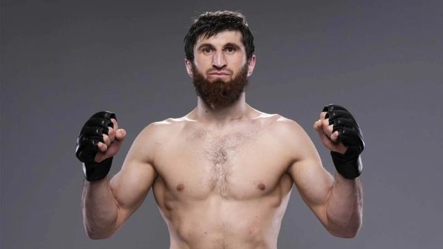 Магомед Анкалаев самый лучший полутяж в UFC