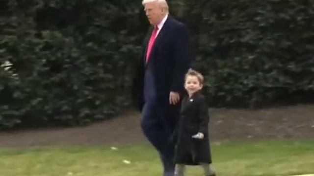 VID_20250606_113631_440.mp4