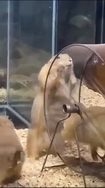 Движение-это жизнь !