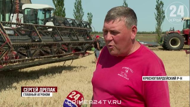 В Крыму начали собирать урожай озимого ячменя