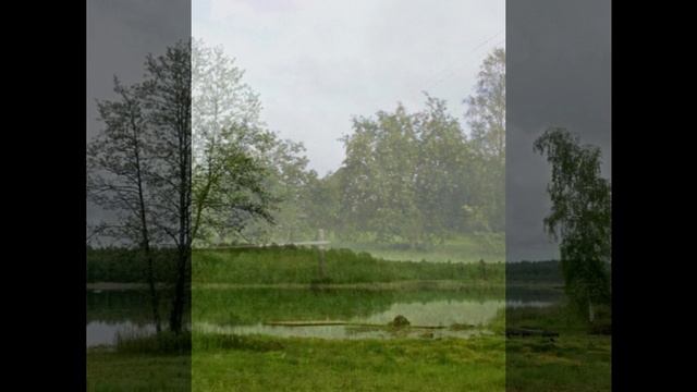 Дача (6)