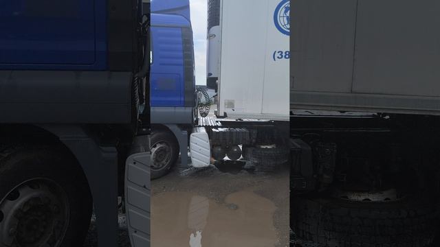 обучение Фиксиков вождению 🚛