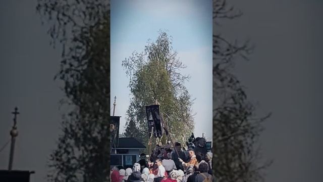 1000067486.mp4