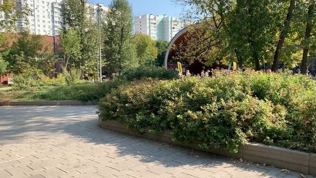 Стрелекая_июнь_3