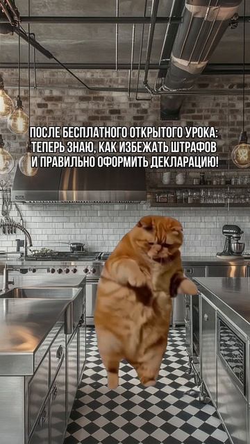Регистрация на открытый урок по декларированию по ссылке👇🏻