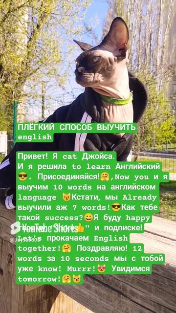 Лёгкий способ выучить инглиш. 1 серия.