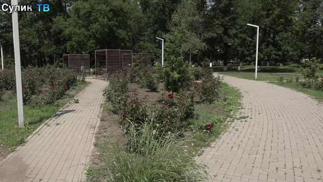 Быстрые новости 06 06 2025