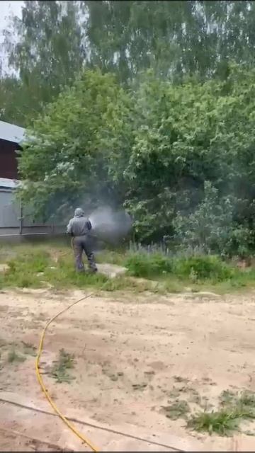 Дезинсекция в Череповце