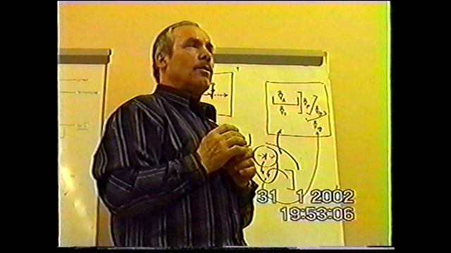 Понятия и схемы в мышлении. Необходимость построения миров и аналитика. 2002