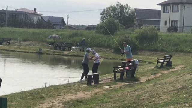 ещё один сом в зачёте