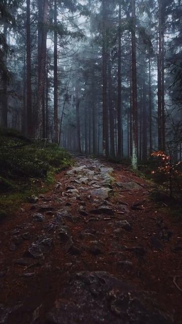Самый запоминающийся ролик 36