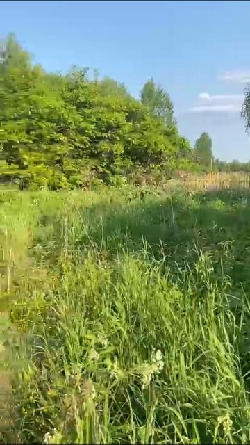 вид на участок и баню