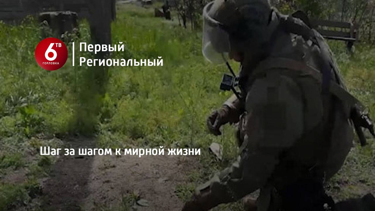 Шаг за шагом к мирной жизни