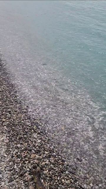 Спрашиваете про мазут,  в Адлере его нет,  море чистейшее 😍