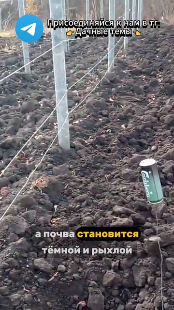 Всего одно средство заменит тонны навоза!