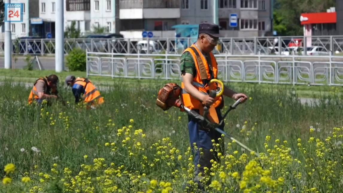 Абаканские коммунальщики вышли на покос травы в городе