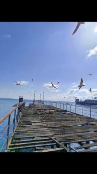 Брехаловка Сухум Абхазия