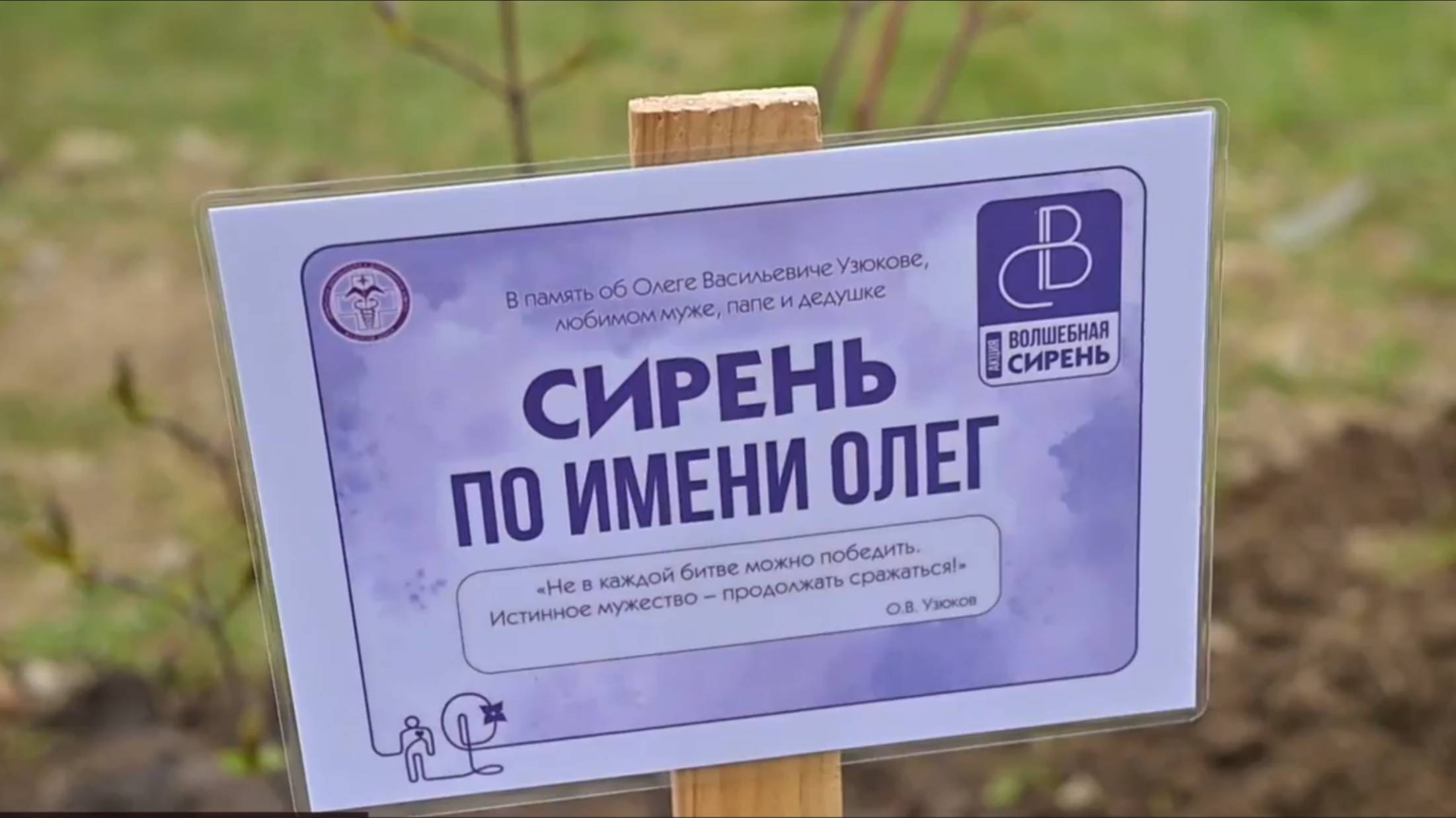 В Магадане высадили сиреневый сад