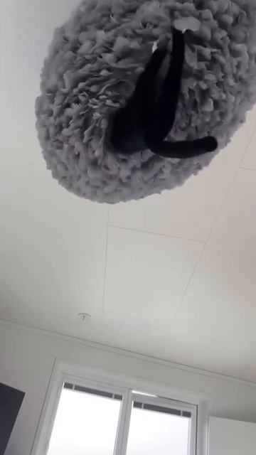 А вы это удобно придумали, кожаные❤️