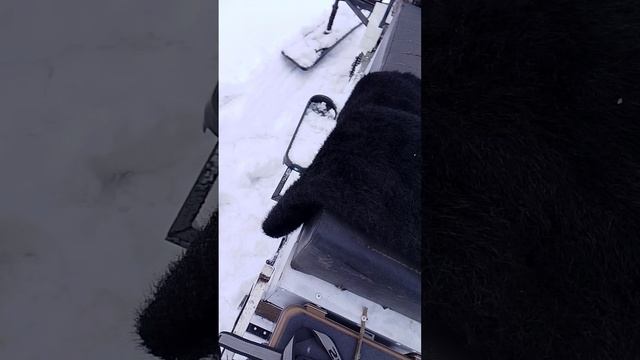 Обзор не большой