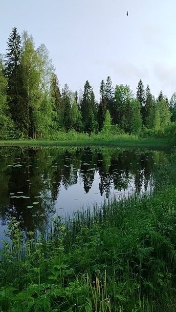 Русская природа