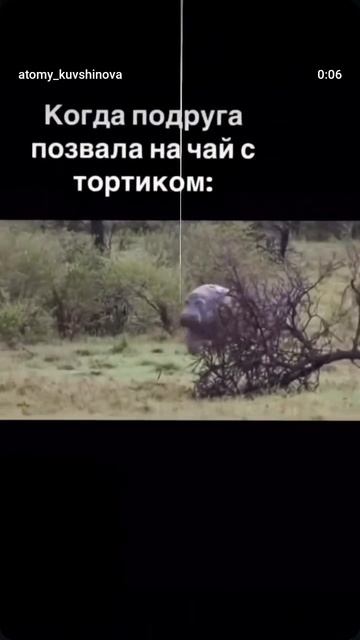 Худеем с подругой или чаем Пуэр?😉👉☕