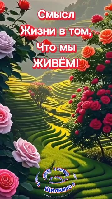Добрые пожелания. Доброе утро. Добрый вечер. ВидеоОткрытки