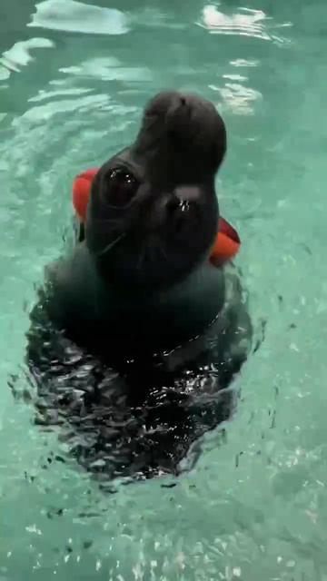 😊